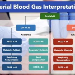 Blood gases ph only cpt code