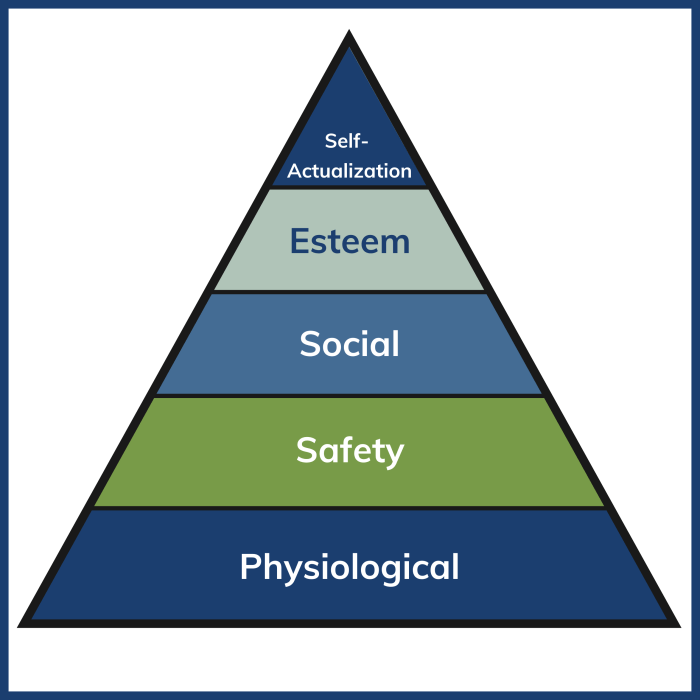 Hierarchy of needs of geriatric patients