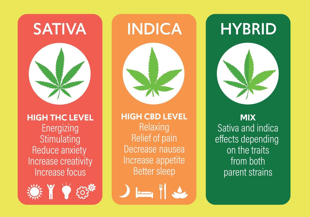 Banoreoz strain indica or sativa