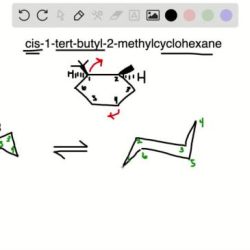 Cis 1 tert butyl 3 methylcyclohexane