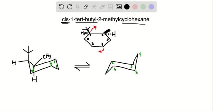 Cis 1 tert butyl 3 methylcyclohexane