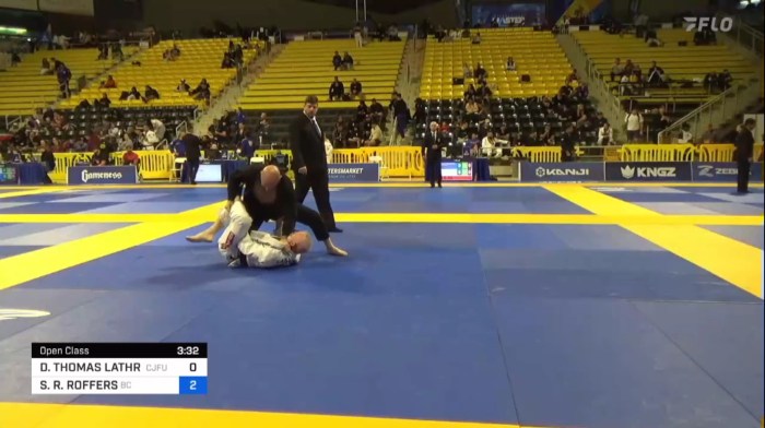 Ibjjf knee on belly points