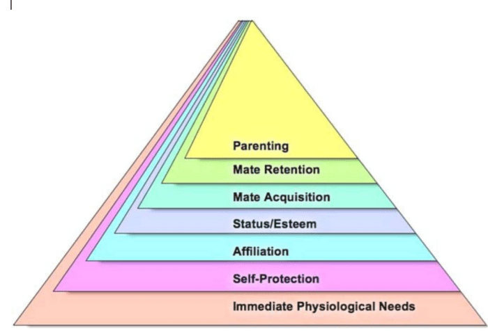 Hierarchy of needs of geriatric patients