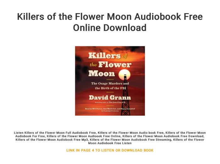 Killers audiobook